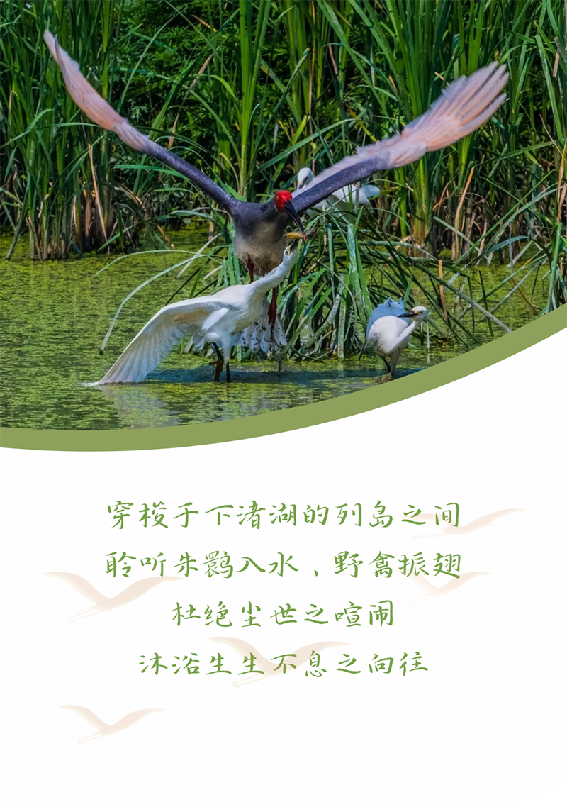 心心念廿 相伴人生就是博 | 与德清相约 贺廿载诞辰